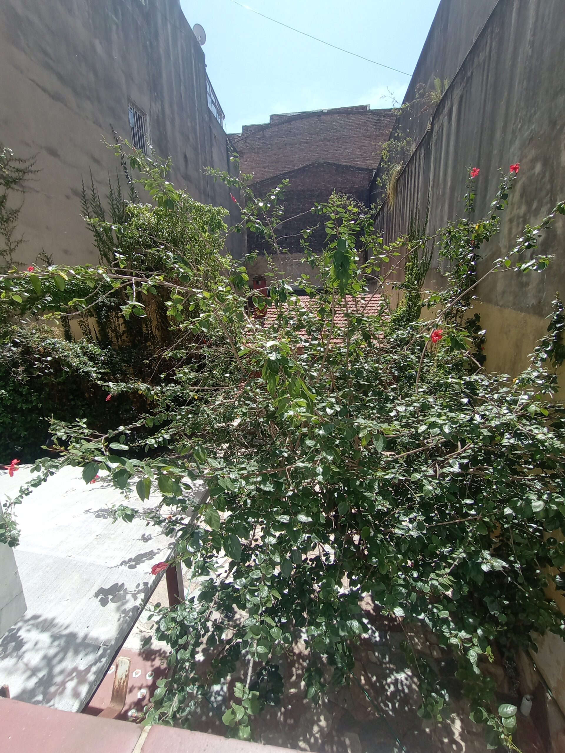 4 AMB C/DEP SARMIENTO 2061 (BARRIO: CONGRESO) SE ACEPTA PERMUTA - Imagen 21